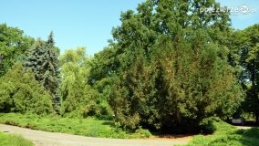 Magiczny pałac w Kołaczkowie - zdjęcie 24