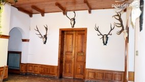 Magiczny pałac w Kołaczkowie - zdjęcie 16