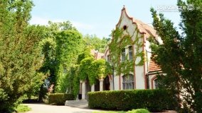 Magiczny pałac w Kołaczkowie - zdjęcie 12