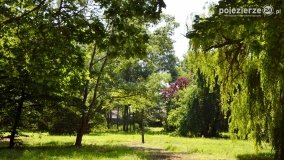 Magiczny pałac w Kołaczkowie - zdjęcie 2