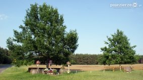 W cieniu sanktuarium... - zdjęcie 20