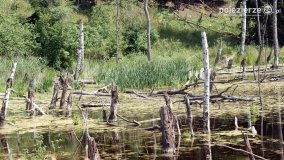 Wędrując po Parku Krajobrazowym Promno - zdjęcie 47