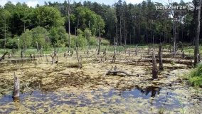 Wędrując po Parku Krajobrazowym Promno - zdjęcie 45