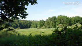 Wędrując po Parku Krajobrazowym Promno - zdjęcie 34