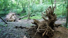 Wędrując po Parku Krajobrazowym Promno - zdjęcie 33