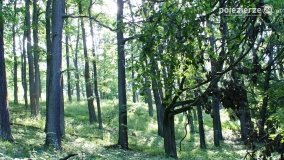 Wędrując po Parku Krajobrazowym Promno - zdjęcie 32