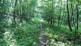 Wędrując po Parku Krajobrazowym Promno - zdjęcie 31