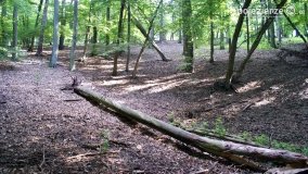 Wędrując po Parku Krajobrazowym Promno - zdjęcie 29