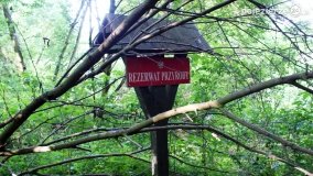 Wędrując po Parku Krajobrazowym Promno - zdjęcie 28