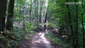 Wędrując po Parku Krajobrazowym Promno - zdjęcie 27