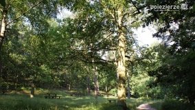 Wędrując po Parku Krajobrazowym Promno - zdjęcie 20