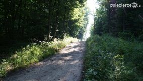 Wędrując po Parku Krajobrazowym Promno - zdjęcie 19