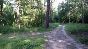 Wędrując po Parku Krajobrazowym Promno - zdjęcie 18