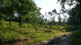 Wędrując po Parku Krajobrazowym Promno - zdjęcie 16