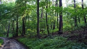 Wędrując po Parku Krajobrazowym Promno - zdjęcie 12