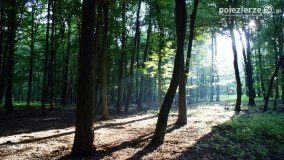 Wędrując po Parku Krajobrazowym Promno - zdjęcie 11