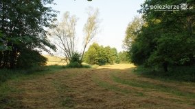 Wędrując po Parku Krajobrazowym Promno - zdjęcie 10