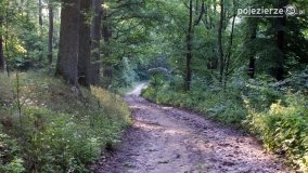 Wędrując po Parku Krajobrazowym Promno - zdjęcie 8