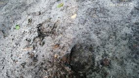 Wędrując po Parku Krajobrazowym Promno - zdjęcie 7