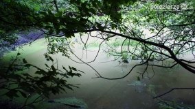 Wędrując po Parku Krajobrazowym Promno - zdjęcie 6