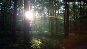 Wędrując po Parku Krajobrazowym Promno - zdjęcie 5