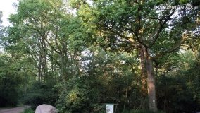 Wędrując po Parku Krajobrazowym Promno - zdjęcie 4