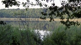 Wędrując po Parku Krajobrazowym Promno - zdjęcie 3