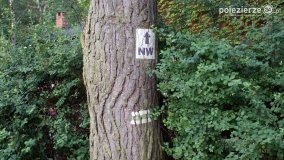 Wędrując po Parku Krajobrazowym Promno - zdjęcie 2