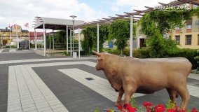 Ryczywół – miejscowość z wołem na rynku - zdjęcie 22