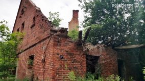 Romantyczna ruiny w Dąbrówce Ludomskiej - zdjęcie 18