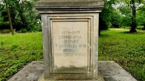 Romantyczna ruiny w Dąbrówce Ludomskiej - zdjęcie 12