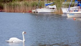 Dzień z wakacyjnego życia Powidza - zdjęcie 23