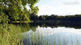 Wakacyjny Skorzęcin w obiektywie - zdjęcie 50