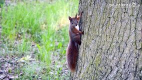 Wakacyjny Skorzęcin w obiektywie - zdjęcie 16