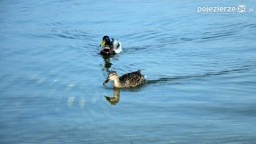 Wakacyjny Skorzęcin w obiektywie - zdjęcie 9