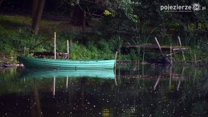 Wakacyjny Skorzęcin w obiektywie
