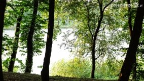 Jezioro Winiary – wakacyjna wizytówka Gniezna - zdjęcie 23