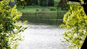 Jezioro Winiary – wakacyjna wizytówka Gniezna - zdjęcie 22