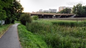 Jezioro Winiary – wakacyjna wizytówka Gniezna - zdjęcie 14