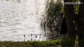 Jezioro Winiary – wakacyjna wizytówka Gniezna - zdjęcie 13