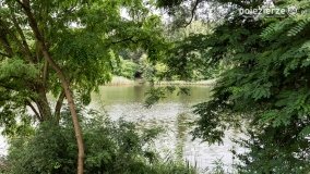 Jezioro Winiary – wakacyjna wizytówka Gniezna - zdjęcie 11