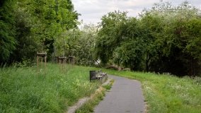 Jezioro Winiary – wakacyjna wizytówka Gniezna - zdjęcie 9