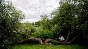 Jezioro Winiary – wakacyjna wizytówka Gniezna - zdjęcie 7