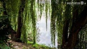 Jezioro Winiary – wakacyjna wizytówka Gniezna - zdjęcie 5