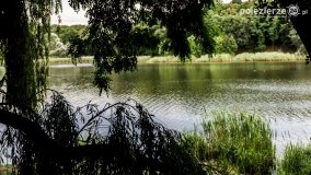 Jezioro Winiary – wakacyjna wizytówka Gniezna - zdjęcie 3