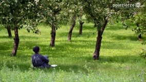 W starym klasztorze… - zdjęcie 46