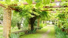 W starym klasztorze… - zdjęcie 5