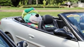 Kabriolety w pałacu Lubostroń - zdjęcie 12