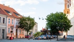 Gniezno – chodzą ulicami turyści... - zdjęcie 9