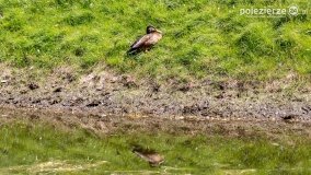 Park Trzech Kultur - zdjęcie 28